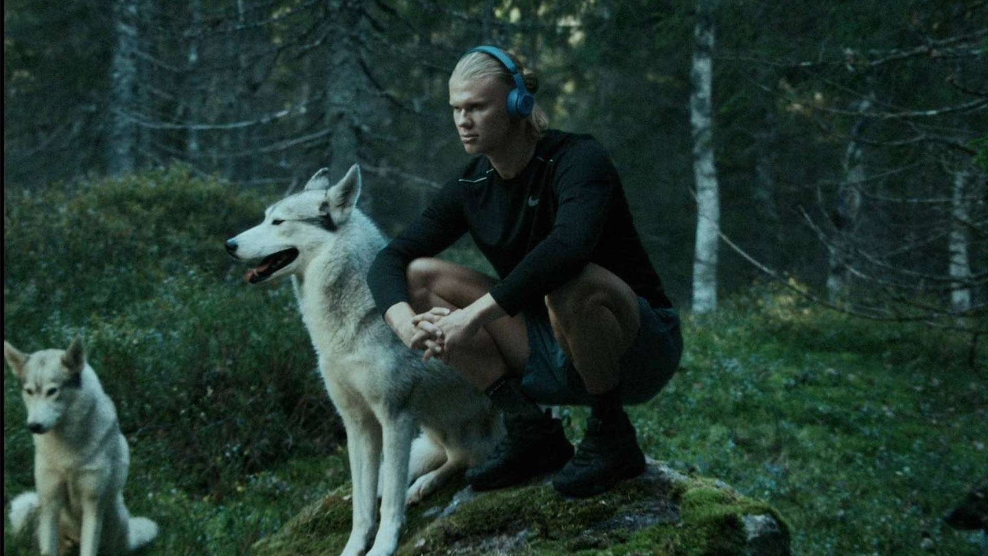 功职业运动 功职业运动