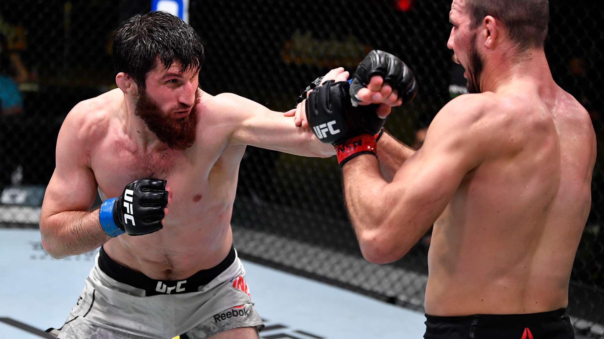 证明了自己 证明了自己