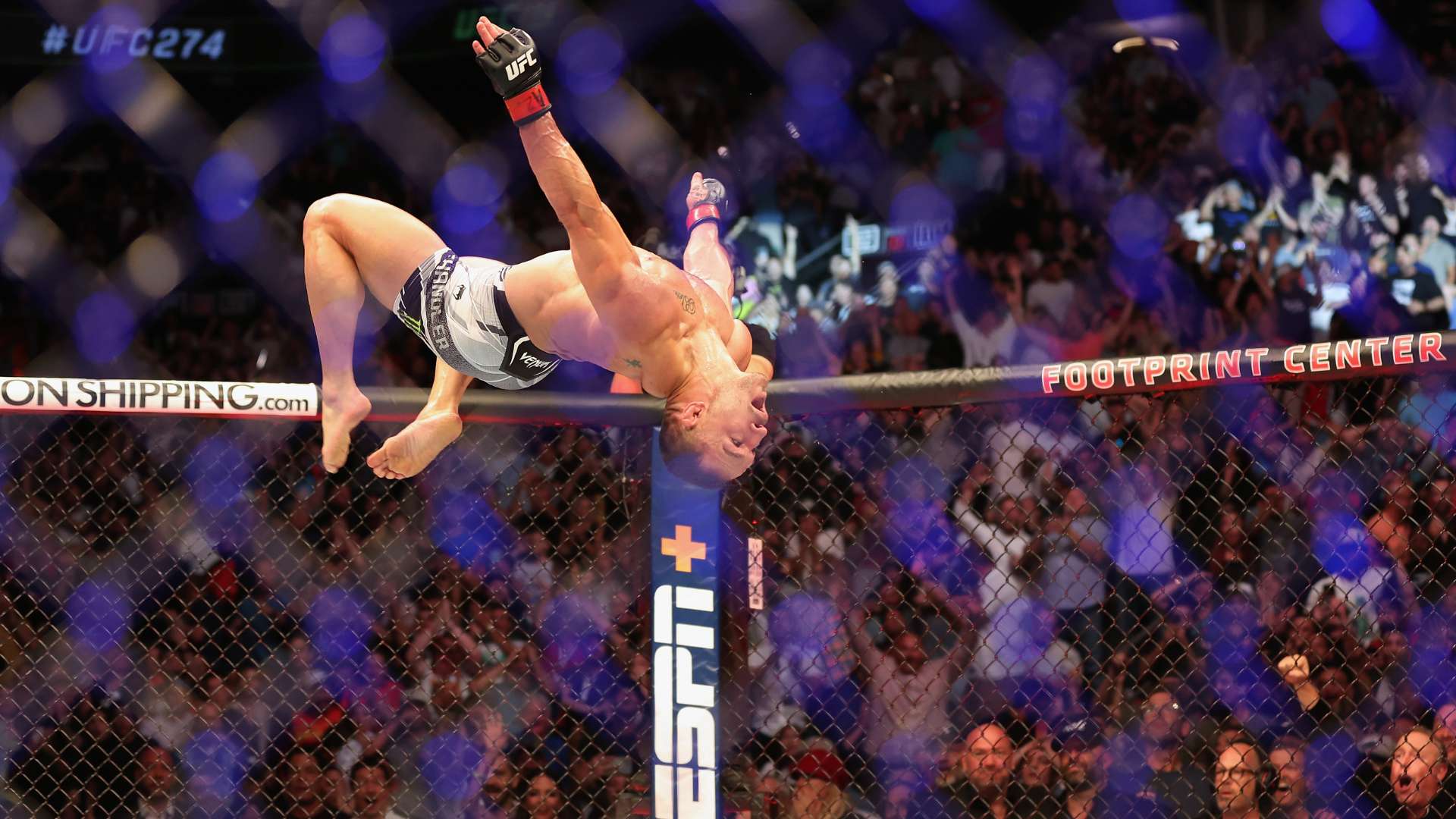 狼王荐彩是 狼王荐彩是